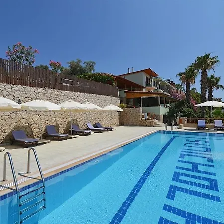 Patara Delfin