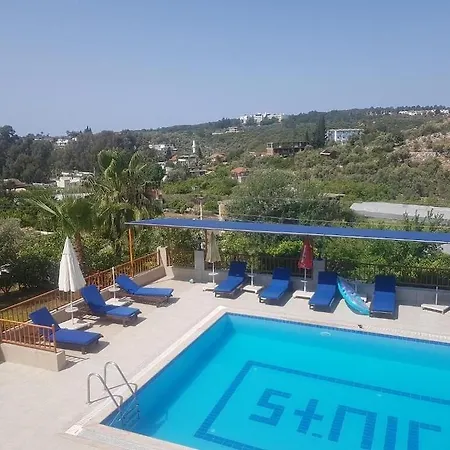 Patara Delfin Kas