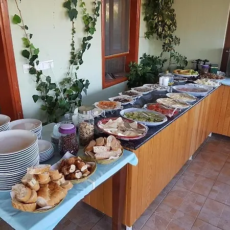 Patara Delfin 2* Kas