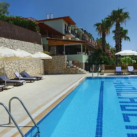 Patara Delfin Kas