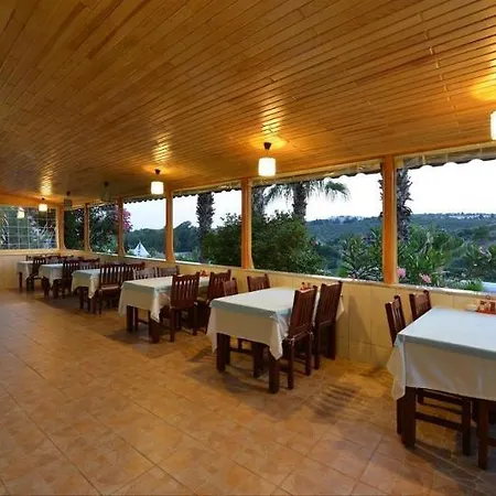 Patara Delfin Hotel 2*